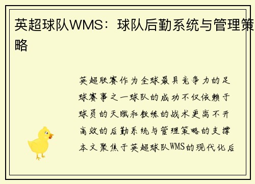英超球队WMS：球队后勤系统与管理策略